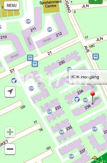 Blk 236 Hougang Avenue 1 (Hougang), HDB 4 Rooms #162987512